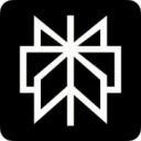perplexity.ai logo